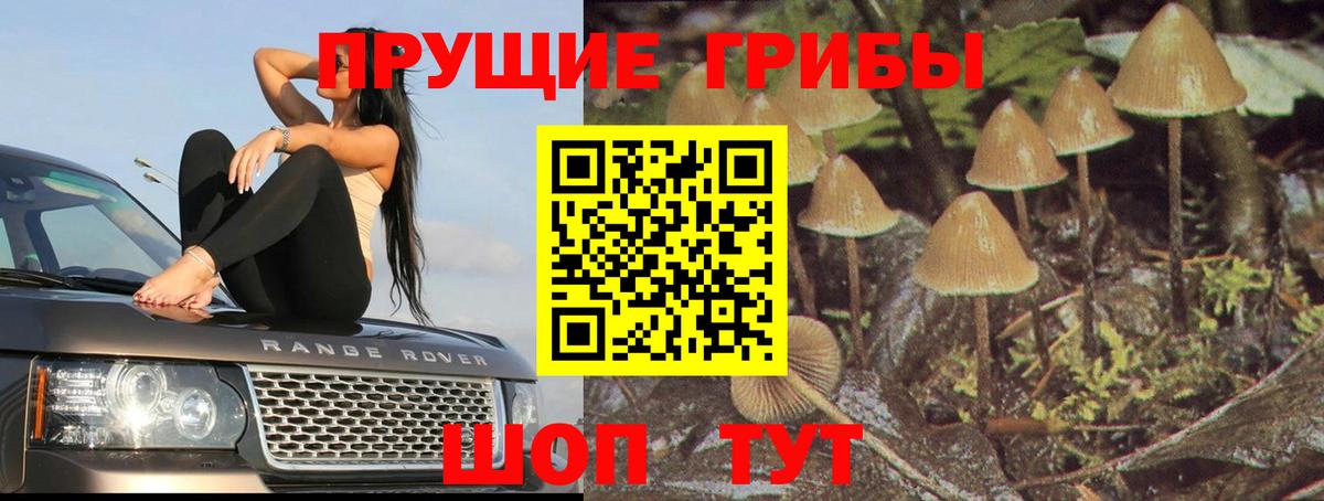 Псилоцибиновые грибы Magic Shrooms Кимовск